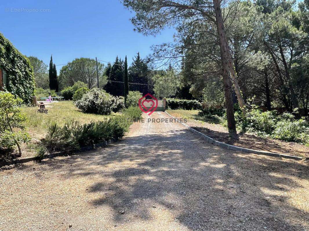 Propriété de campagne avec piscine, maison d'amis et oliveraie au cœur des Corbières - photo 2