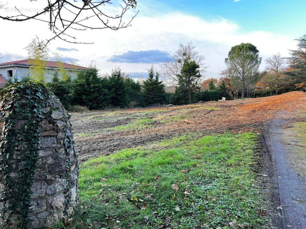 Terrain à FRANCHEVILLE