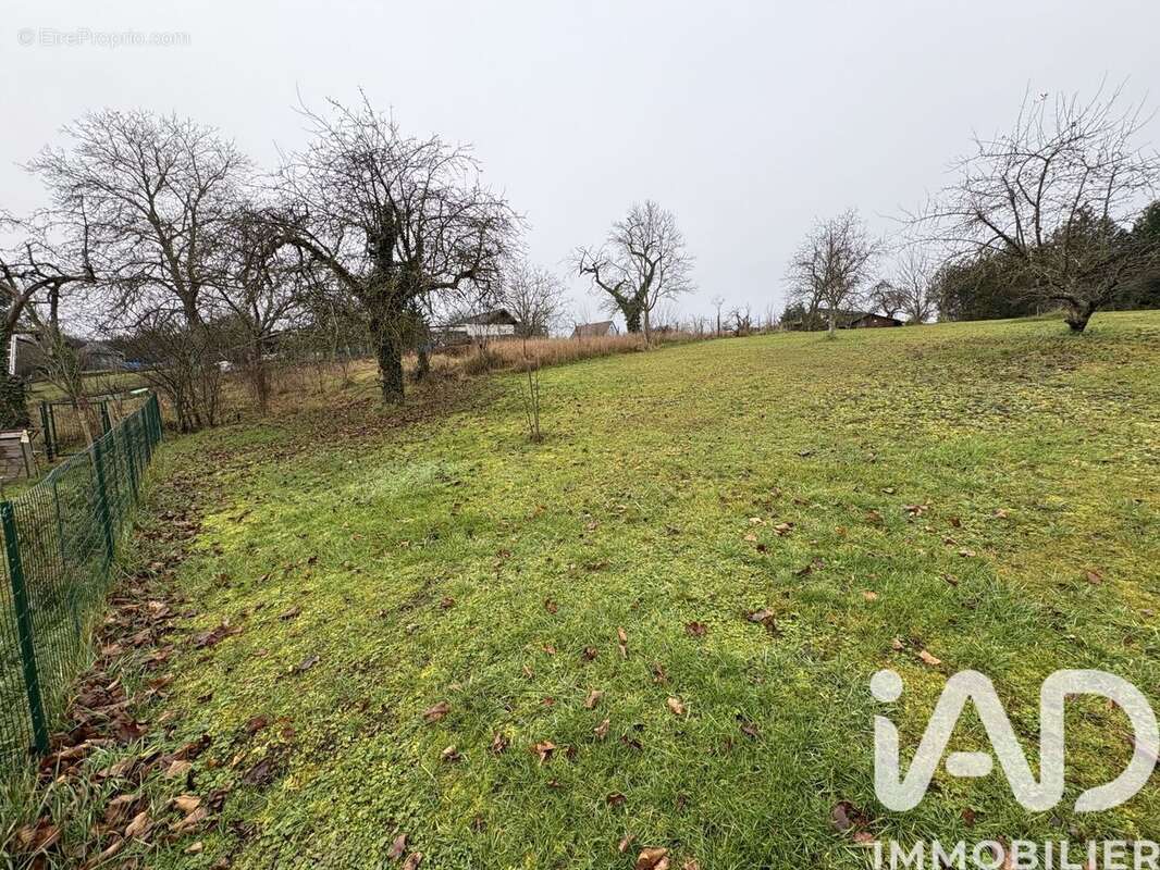 Photo 3 - Terrain à SAVERNE