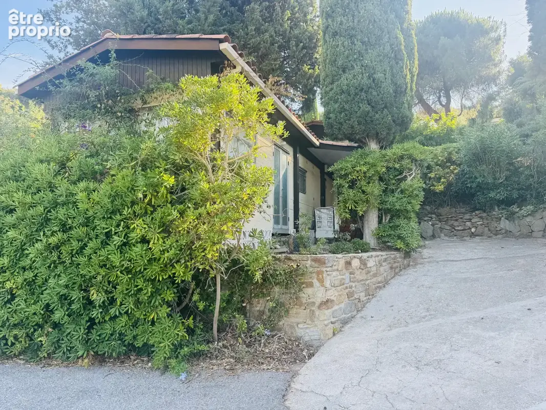 Terrain de loisir - photo 8