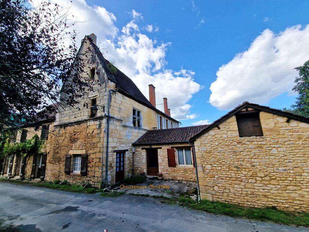 24290 Sergeac : Ensemble immobilier en pierre du pays - photo 3