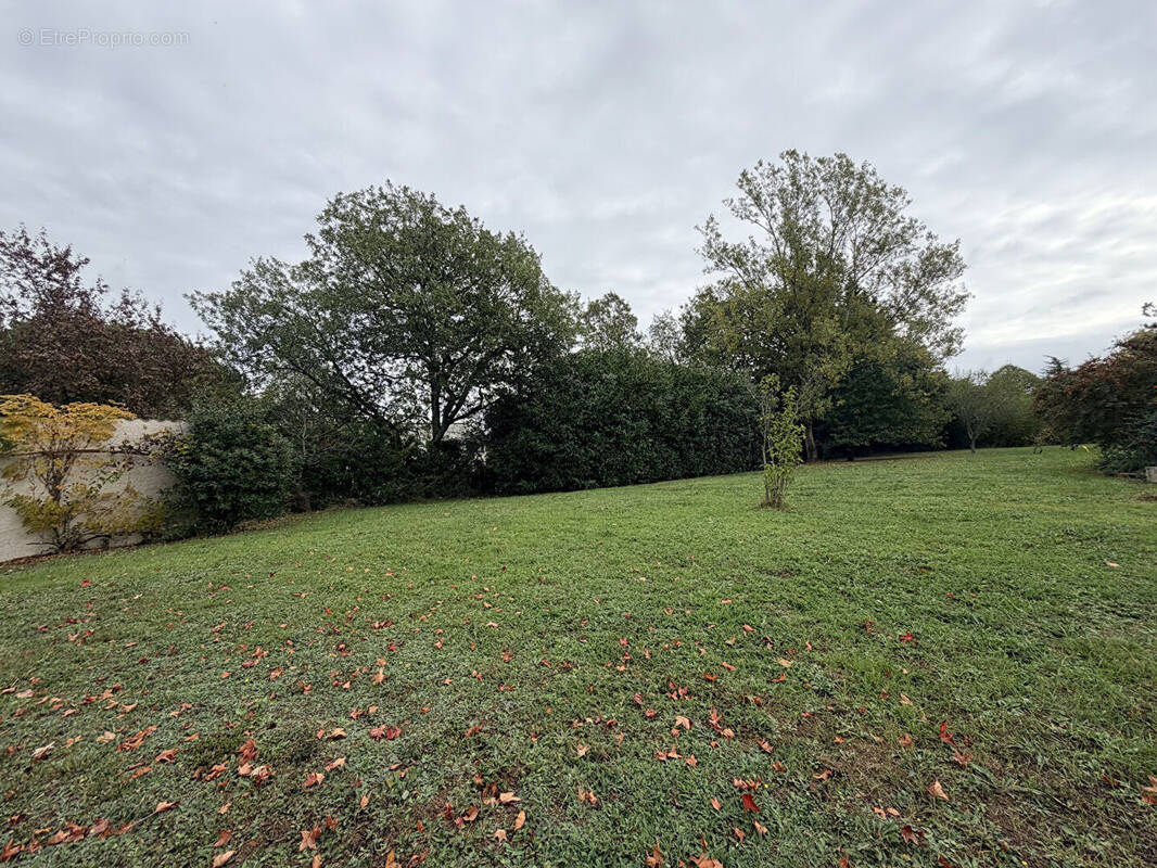 Terrain à PECHBUSQUE
