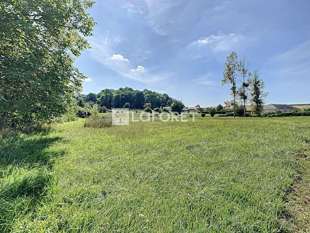 Terrain à CHAUDEFONTAINE