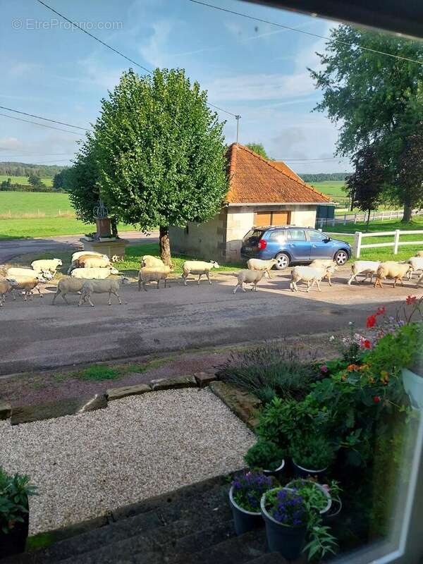 Maison à REGNEVELLE