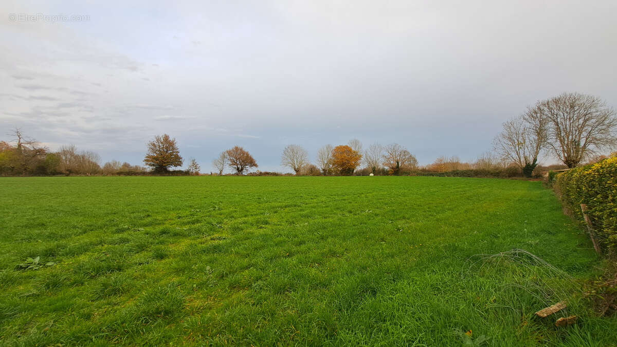 Terrain à SAINT-PARDOUX