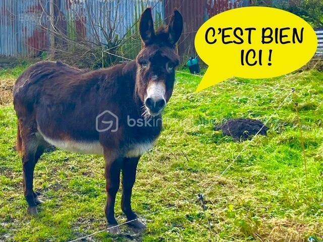 Maison à WAVRANS-SUR-L'AA