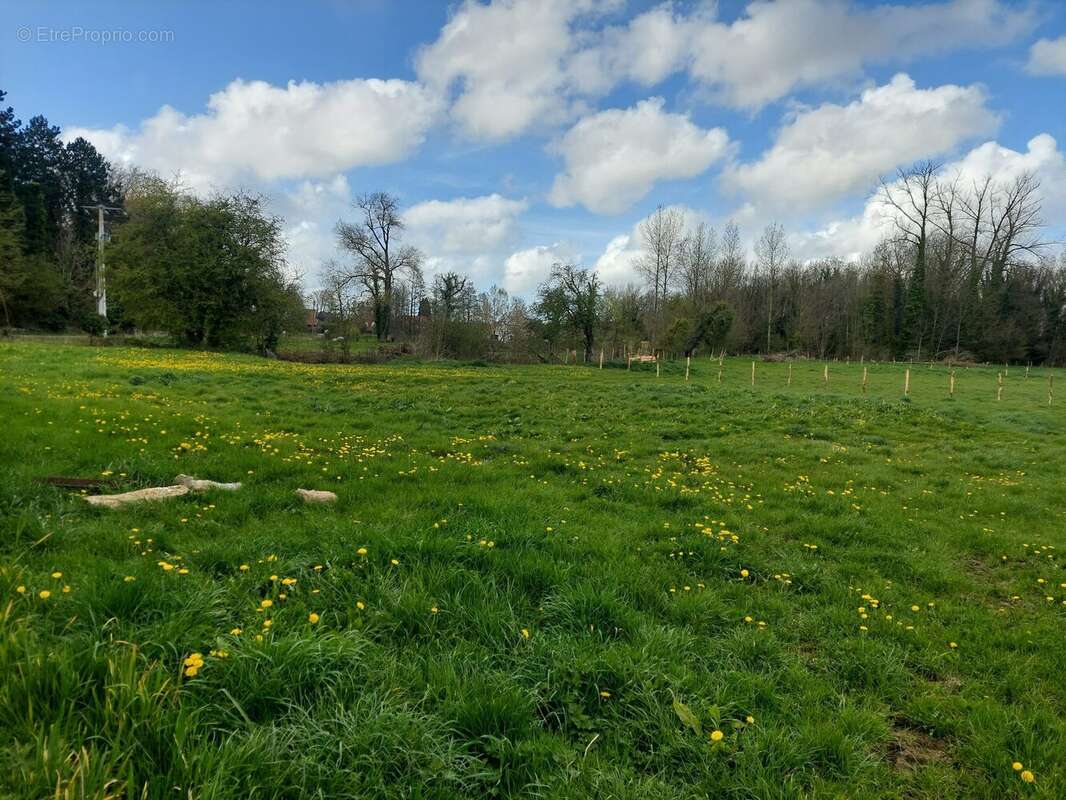 Terrain à ARRAS