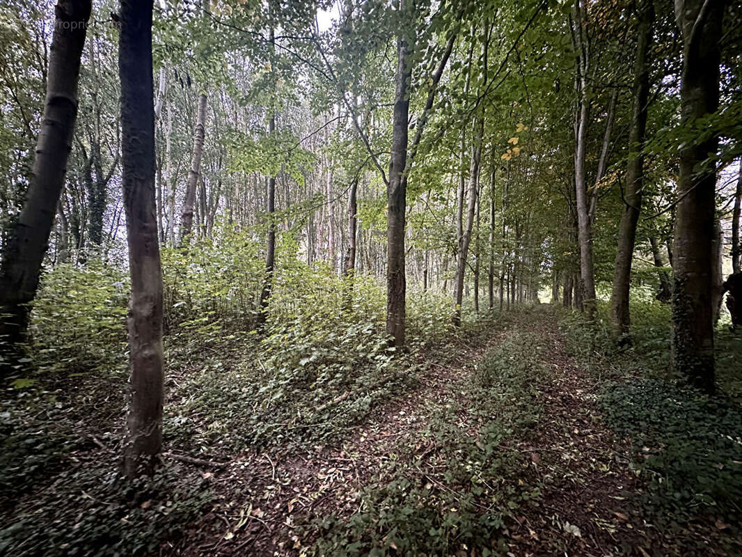 Terrain à LE FAVRIL