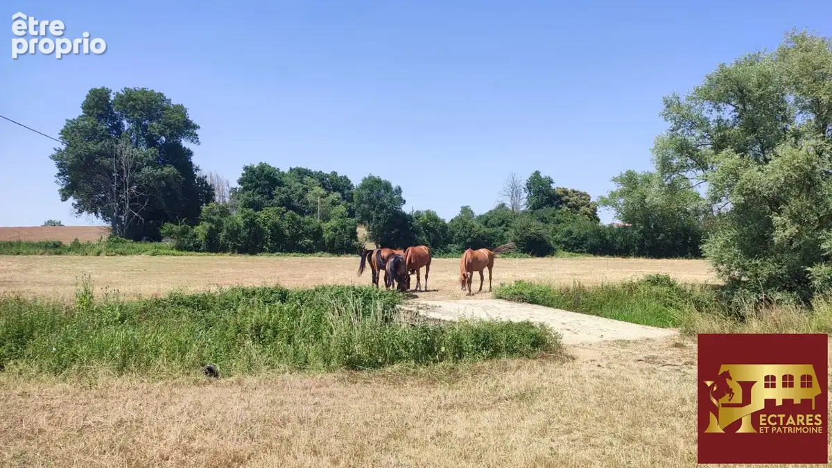 Propriété équestre 2,3 hectares - photo 15