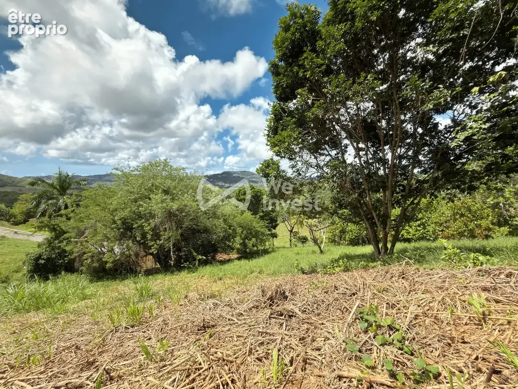 Terrain 973 m² à vendre à Le Vauclin (97280) - photo 9