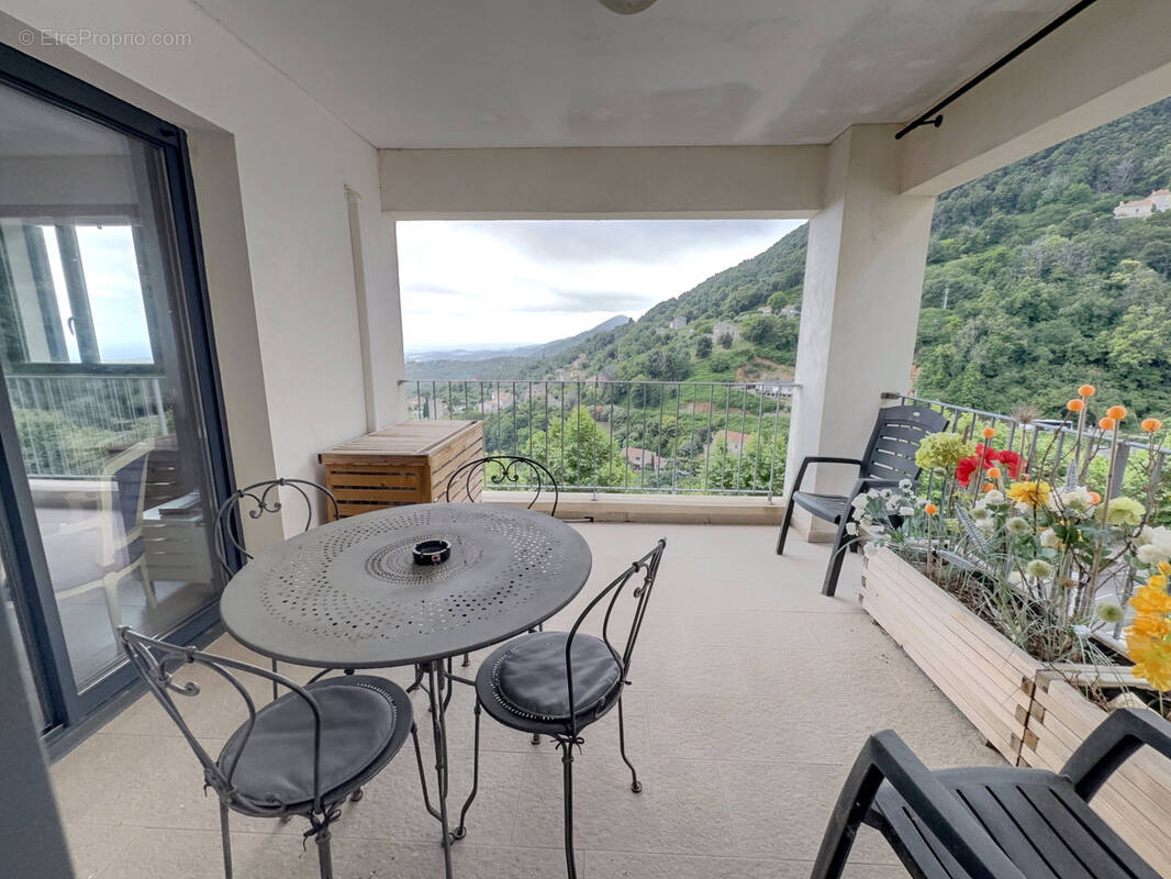 Appartement à CERVIONE