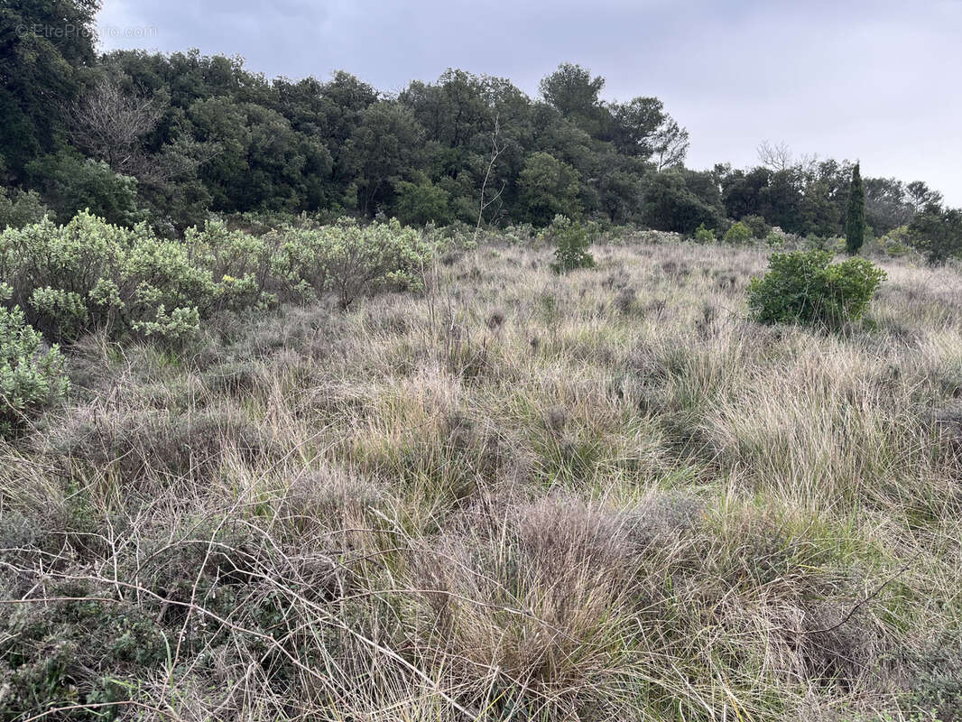 Terrain à SAINT-CHINIAN