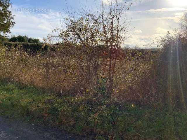 Terrain à SAINT-PAUL-DE-FOURQUES