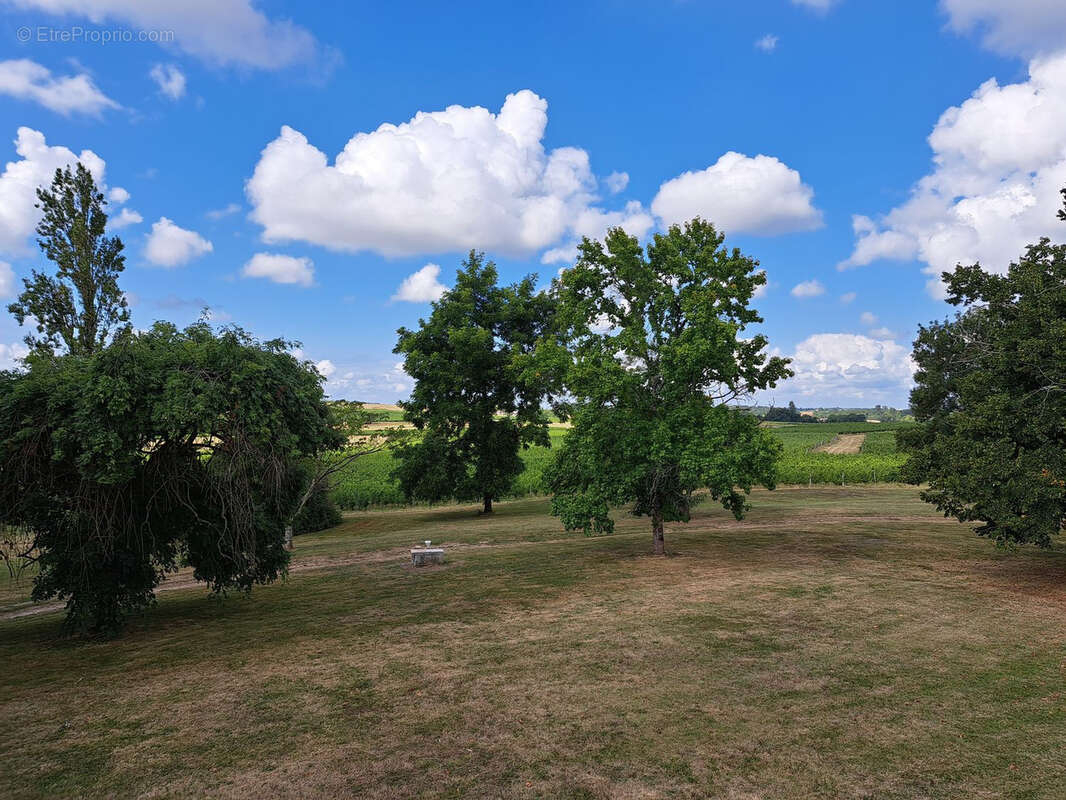 Propriété de caractère sur 2.5 hectares - photo 5