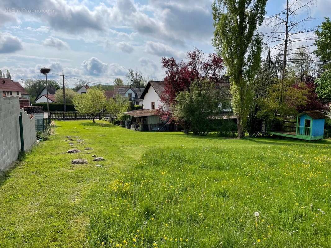 Terrain à STEINBOURG