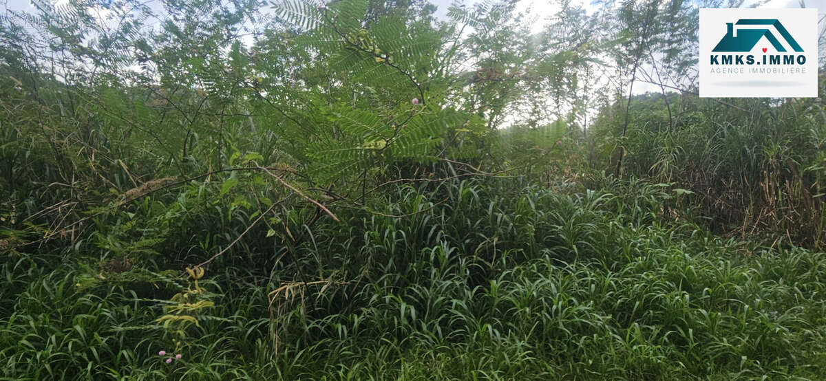 Terrain à RIVIERE-SALEE