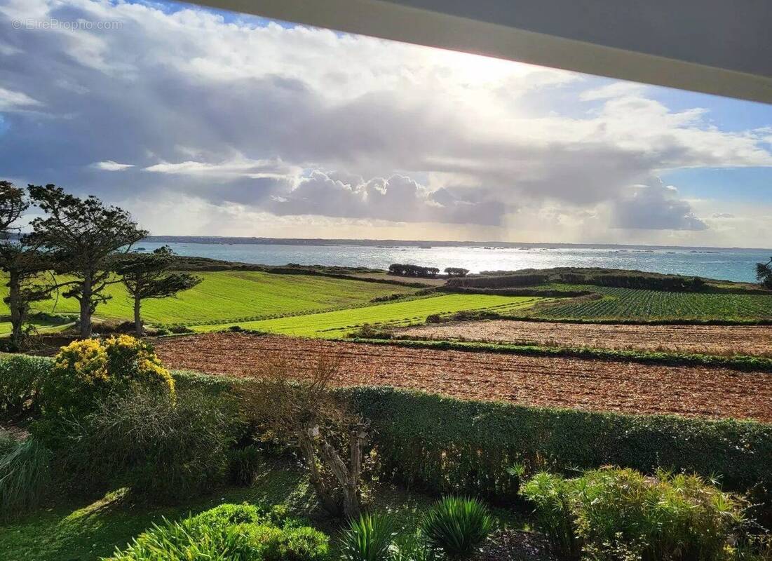 Maison à ILE-DE-BATZ