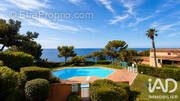 Photo 1 - Appartement à SAINT-MANDRIER-SUR-MER
