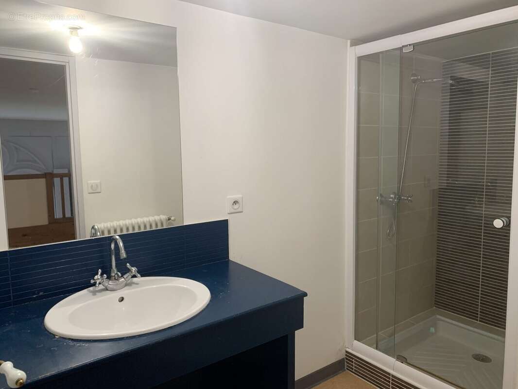 salle d'eau - Appartement à TRELISSAC