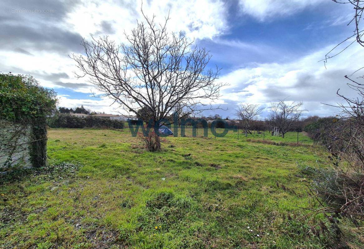 Terrain à SAINT-GERMAIN-DU-PUCH