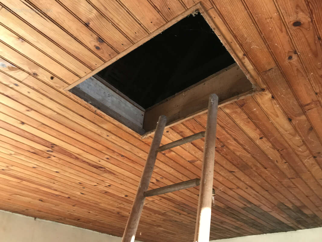 Maison à SAINT-NICOLAS-DU-PELEM