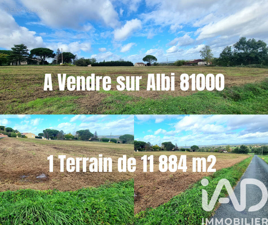 Photo 1 - Terrain à ALBI