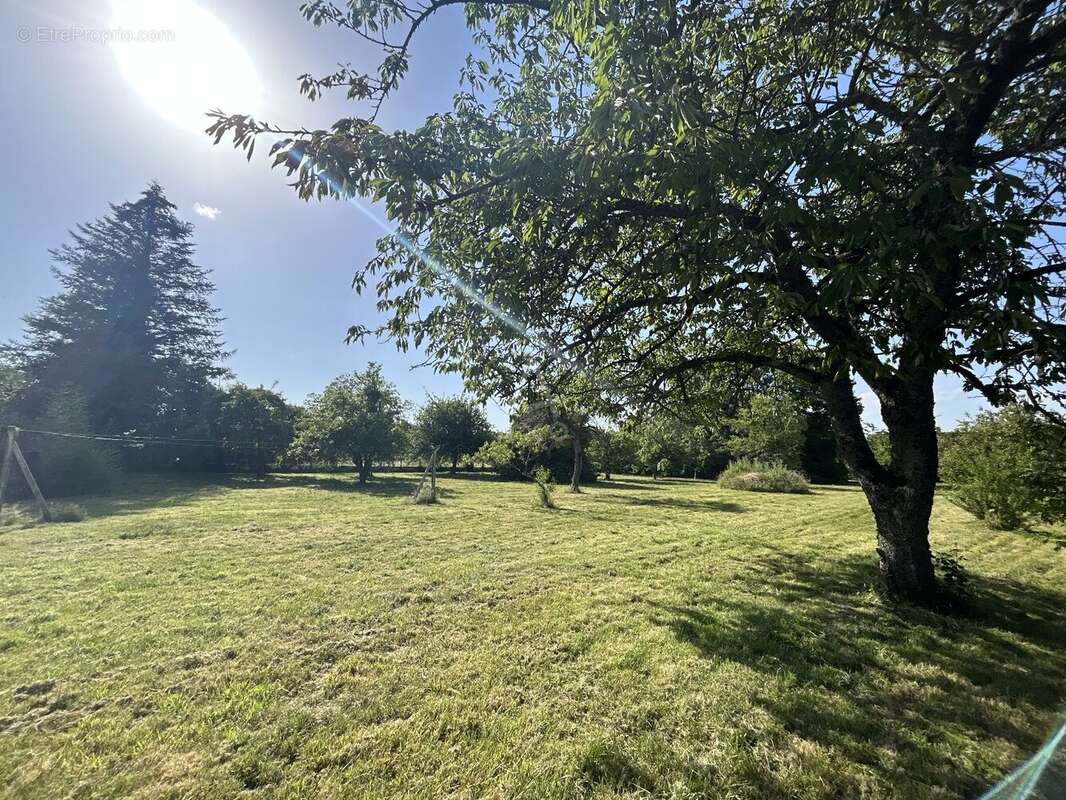 Longère en pierre à rénover  Fort potentiel à la campagne avec dépendances et terrain arboré - photo 19