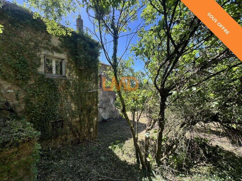 Maison en pierre à rénover avec caves à Mercuer - photo 18