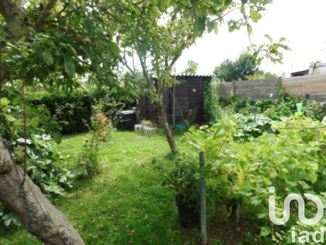 Photo 3 - Maison à LIGNE