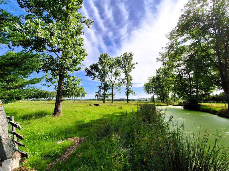 Corps de ferme à aménager avec dépendances et plus de 7 000 m² de terrain  Plaisance-du-Gers - photo 27