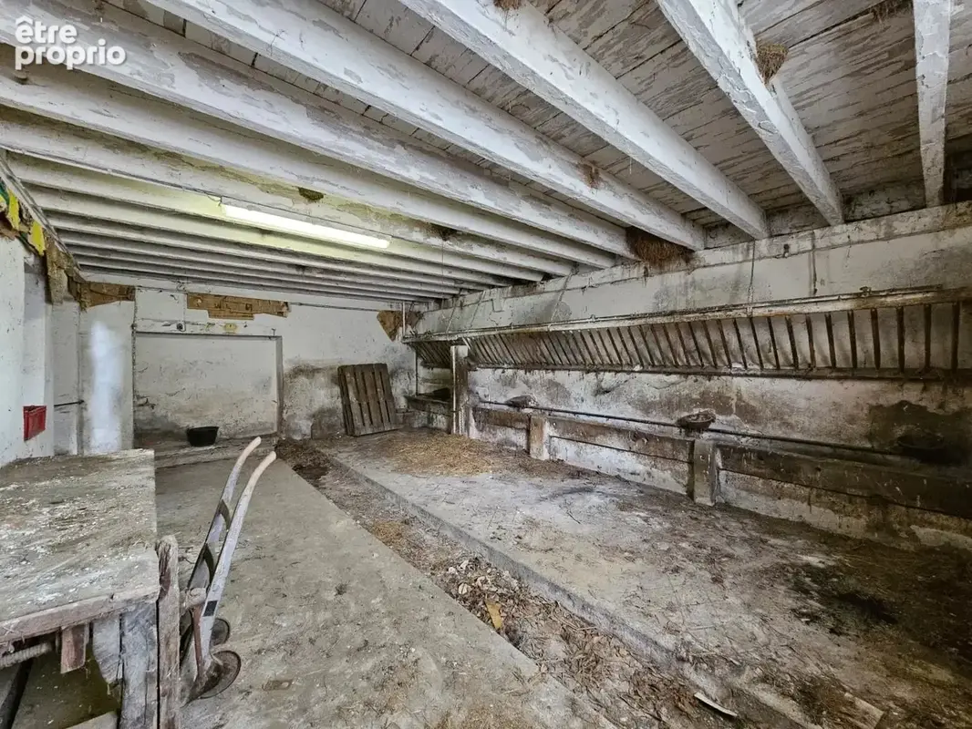 Maison 210 m² à Dommartin  - photo 19