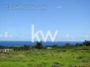 Terrain à BASSE-POINTE