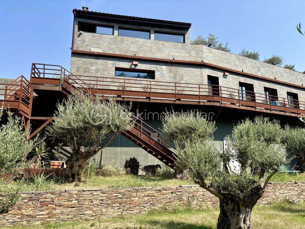 Entre Mer et Montagne, une Villa Unique au Cœur d’un Écrin d’Oliviers - photo 11