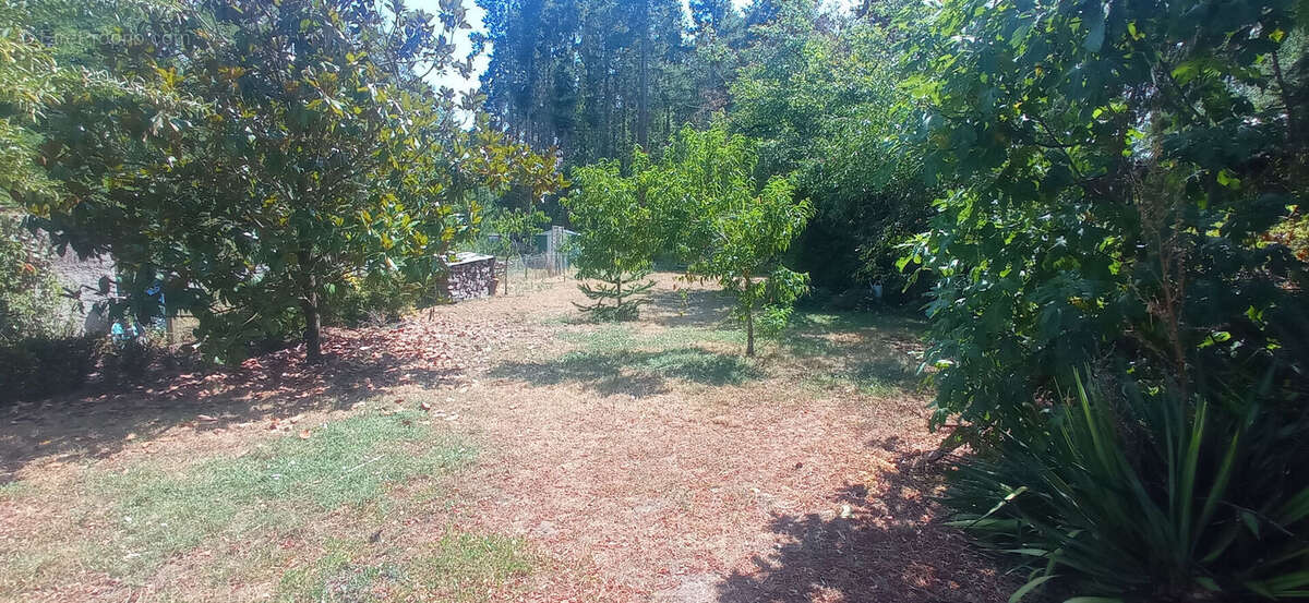 Vente maison f6 vaux - photo 5