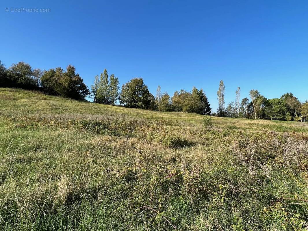 Terrain à POUPAS