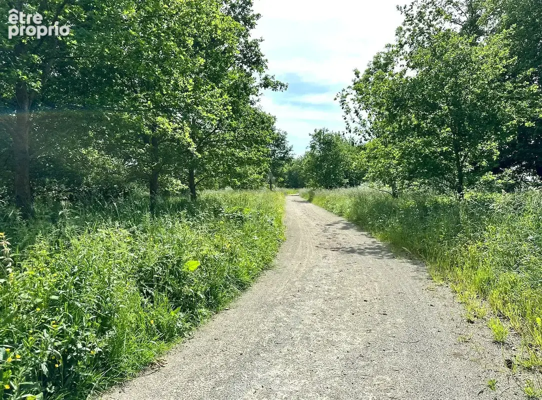 Haras d'Entraînement de Courses sur 28 Hectares   Cadre Exceptionnel - photo 34