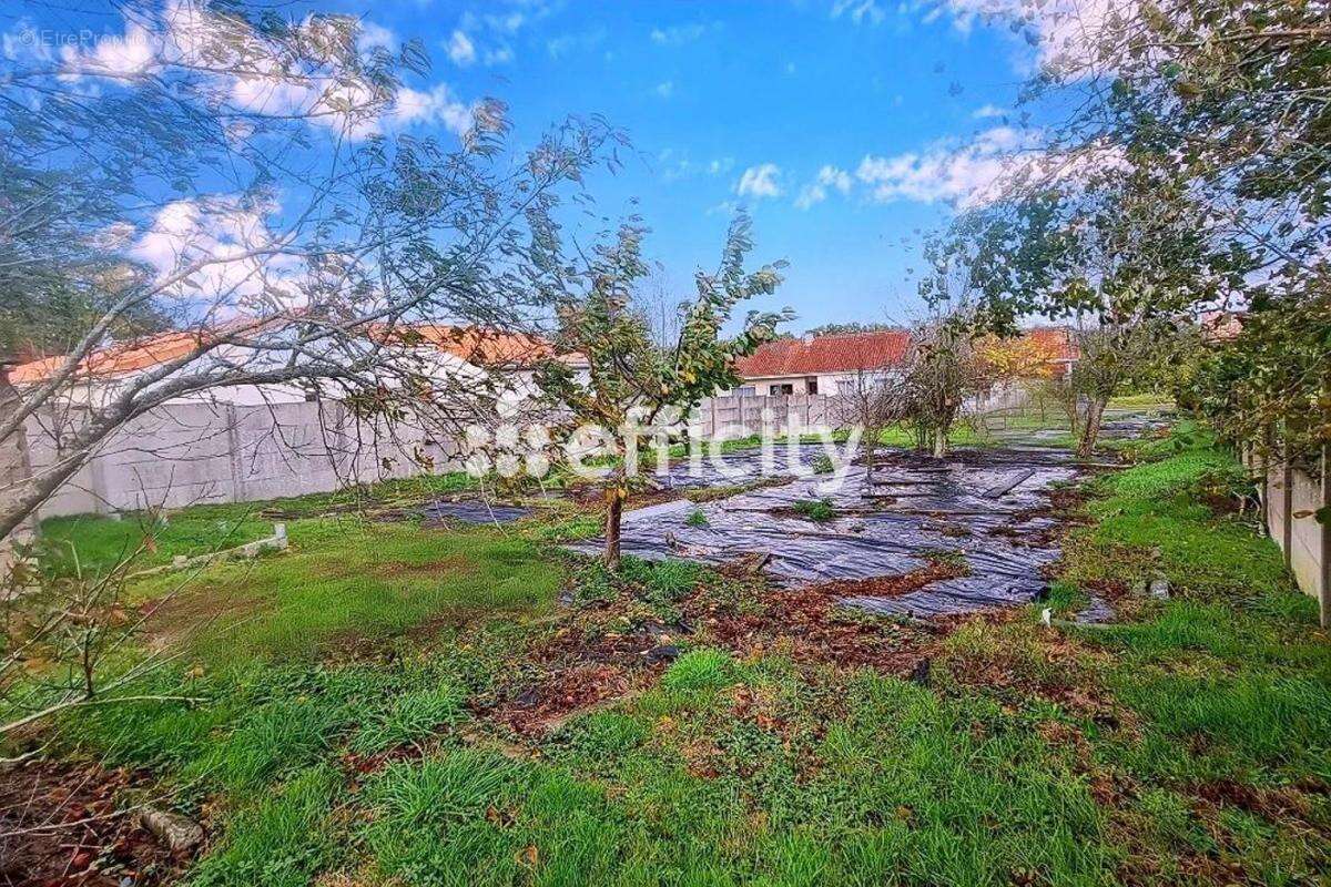 Terrain à LA REGRIPPIERE