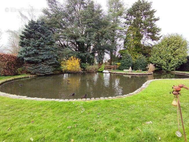 Photo 4 - Maison à GRANDVILLIERS