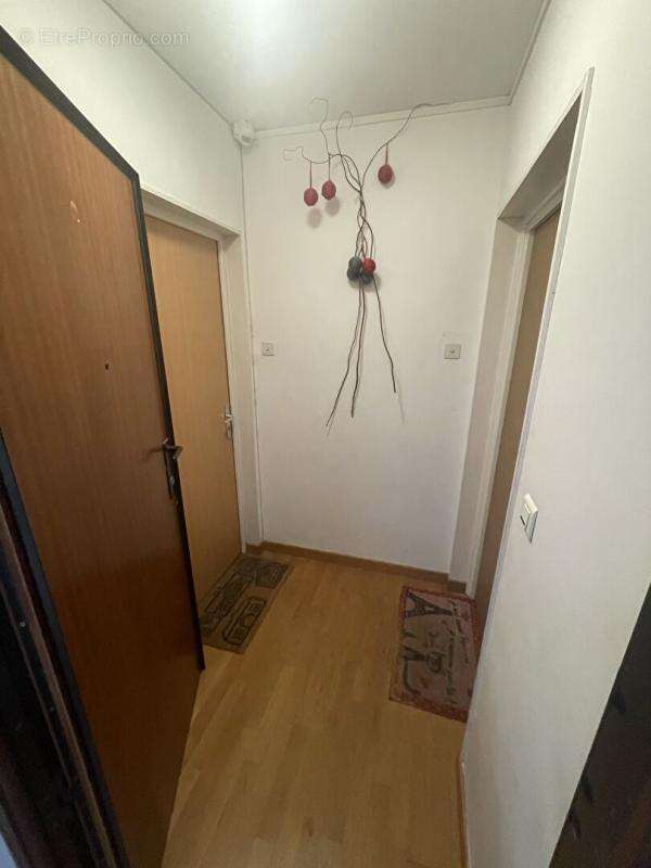Appartement T1Bis au centre-ville - photo 10