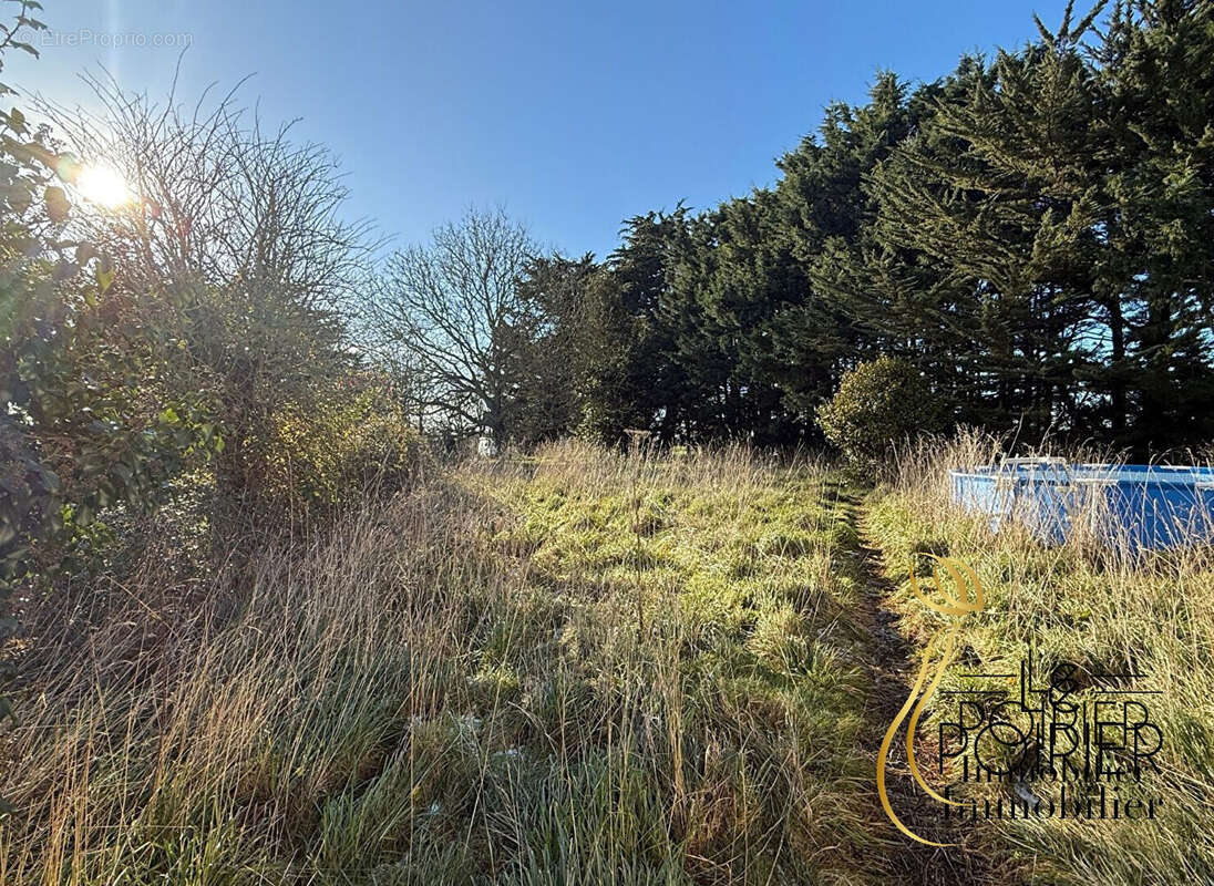 Maison à SAINT-ALBAN