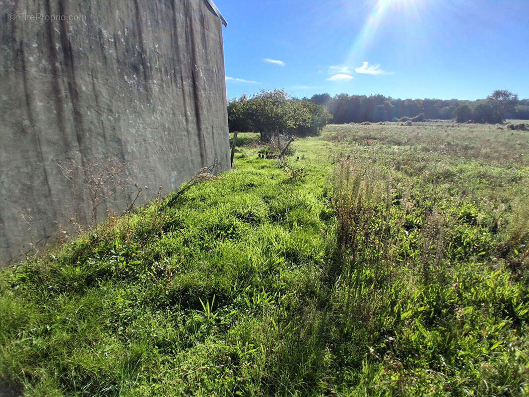 Terrain à LA GRIPPERIE-SAINT-SYMPHORIEN