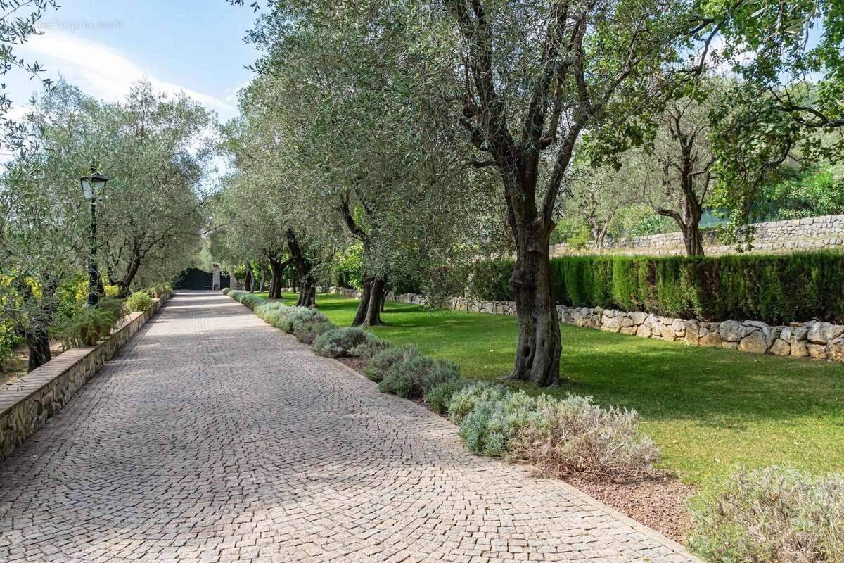 Maison à ROQUEFORT-LES-PINS