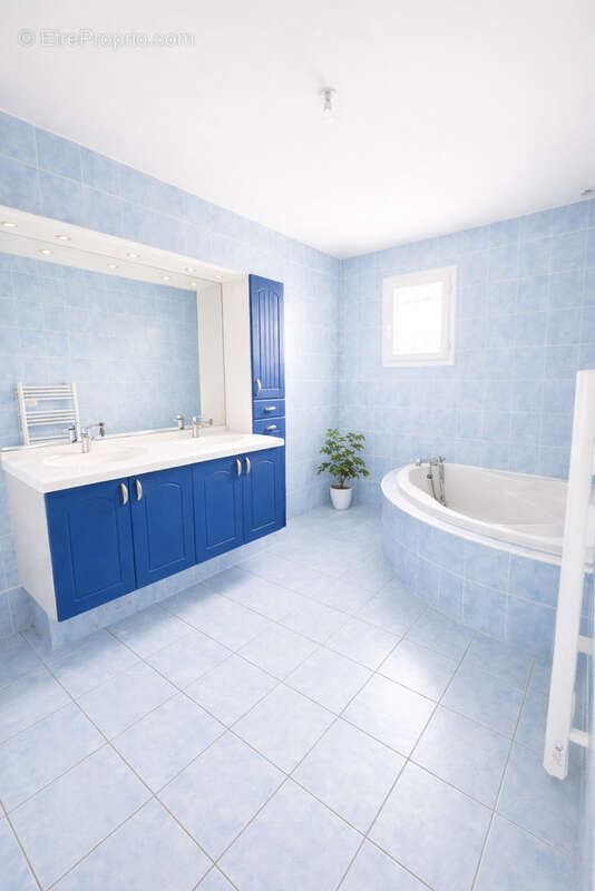 Maison à CHONAS-L'AMBALLAN