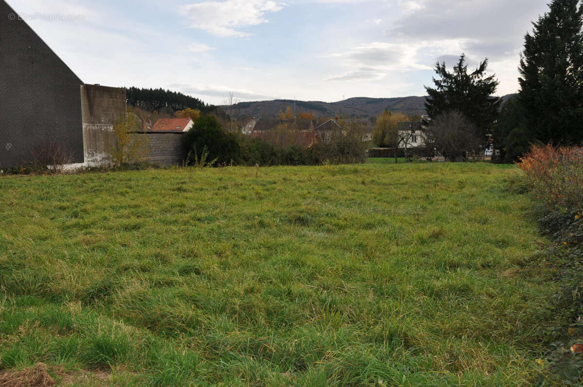 Terrain à LE MAYET-DE-MONTAGNE