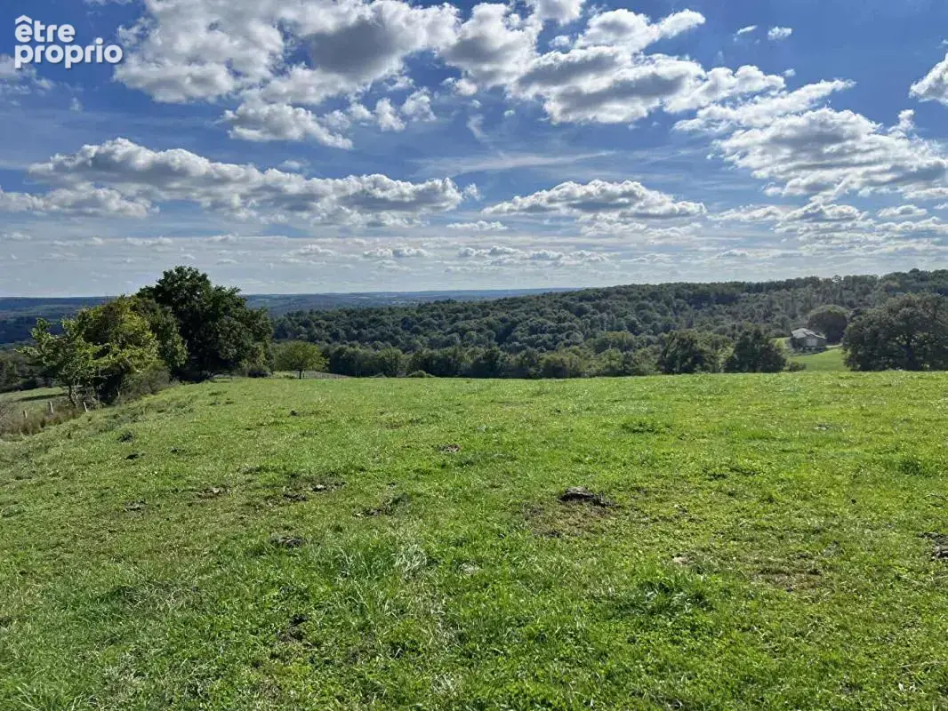 Maison de maître Excideuil 5 pièce(s) 150 m2 et ses 36ha de terres - photo 2
