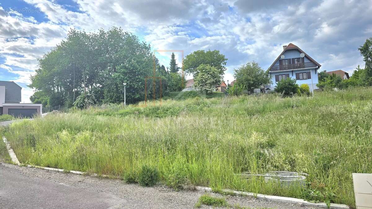 Exclusivité : terrain constructible et viabilisé - photo 3