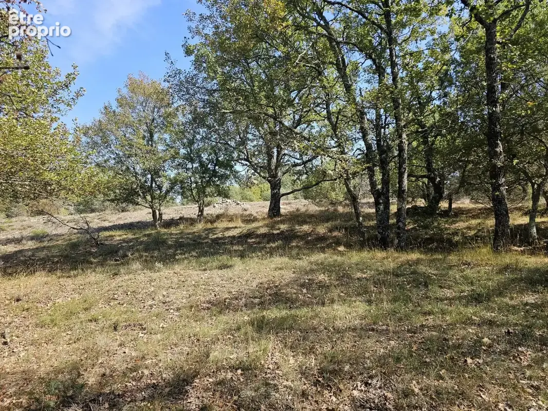 Photo Terrain à Saint-Vallier-De-Thiey au prix de 29 000€