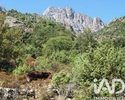 Photo 1 - Terrain à POPOLASCA