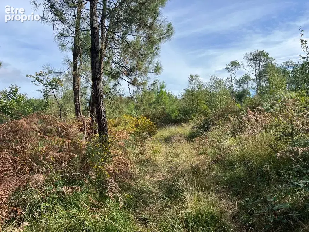 À vendre – argol – finistère – presqu’île de crozon-exceptionnel terrain de loisirs de 40 000 m² - photo 46