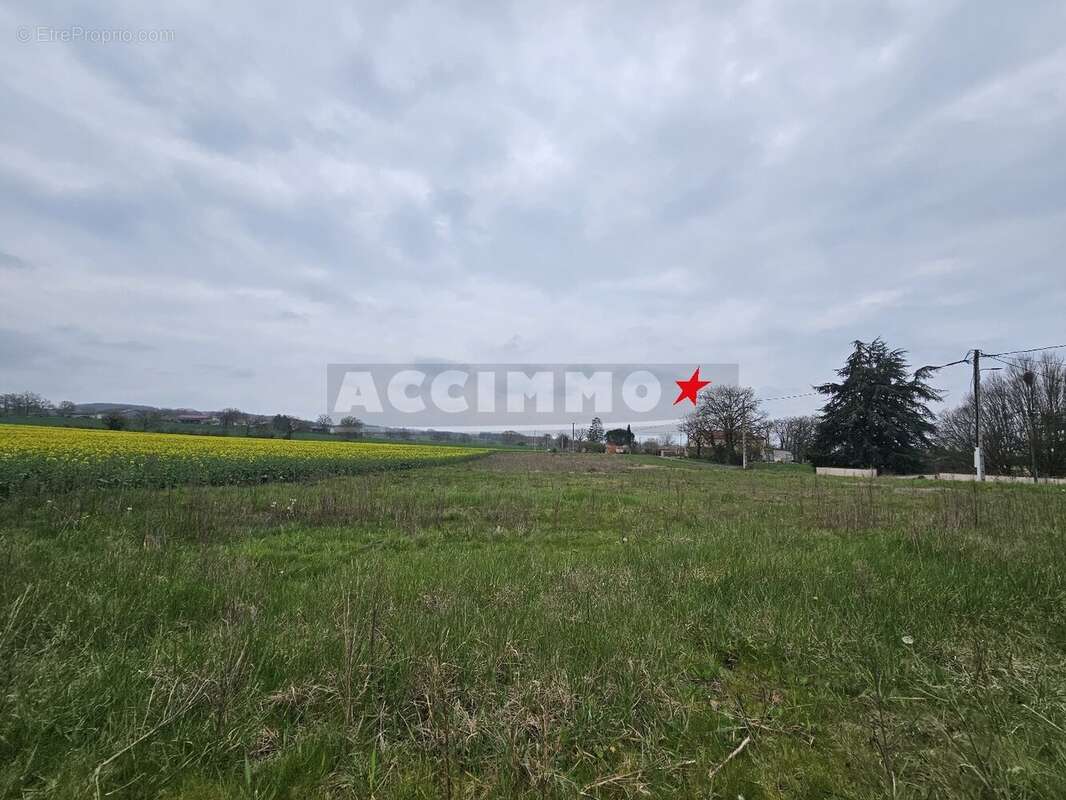 Terrain à MONTDRAGON